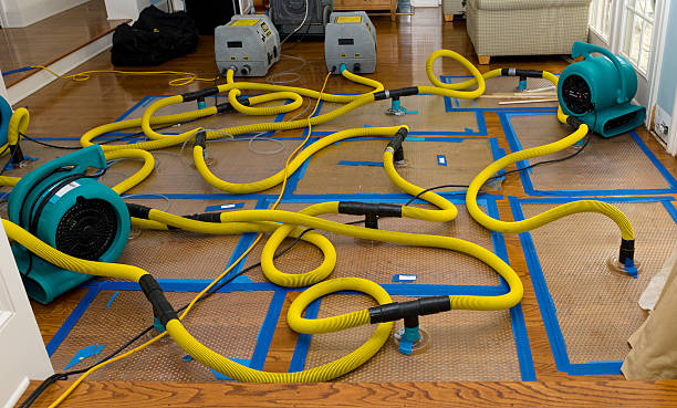 Professional Crawl Space Water Removal technician working in Valley Village, CA